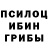 Псилоцибиновые грибы прущие грибы Mariam Qassim