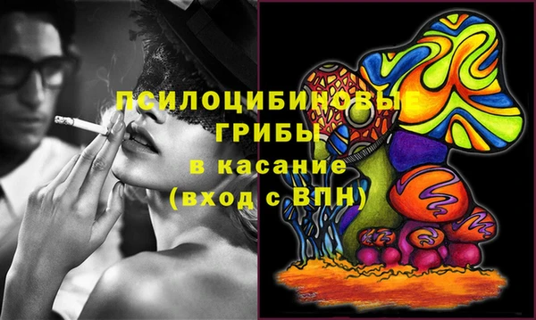 круглые Аркадак