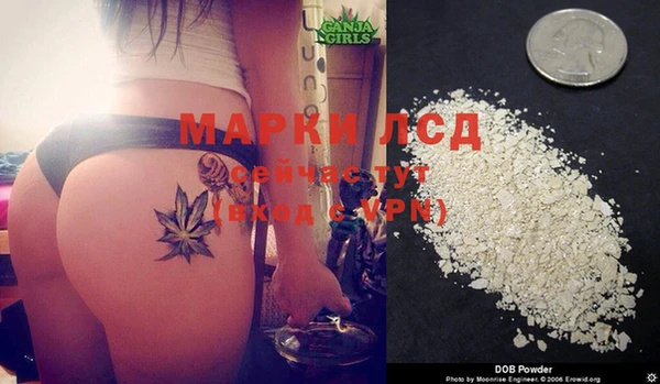 круглые Аркадак