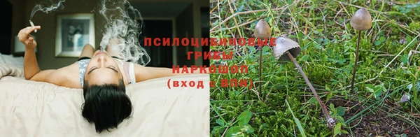 MDMA Армянск