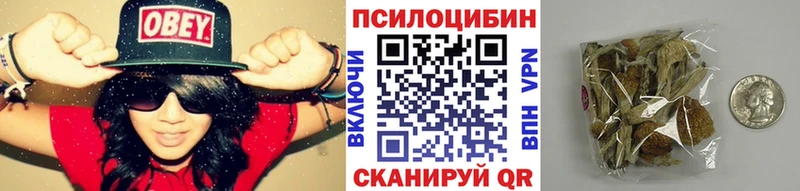 Галлюциногенные грибы Psilocybine cubensis где продают Михайловск