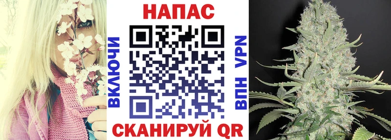 Марихуана SATIVA & INDICA  где найти   Михайловск 
